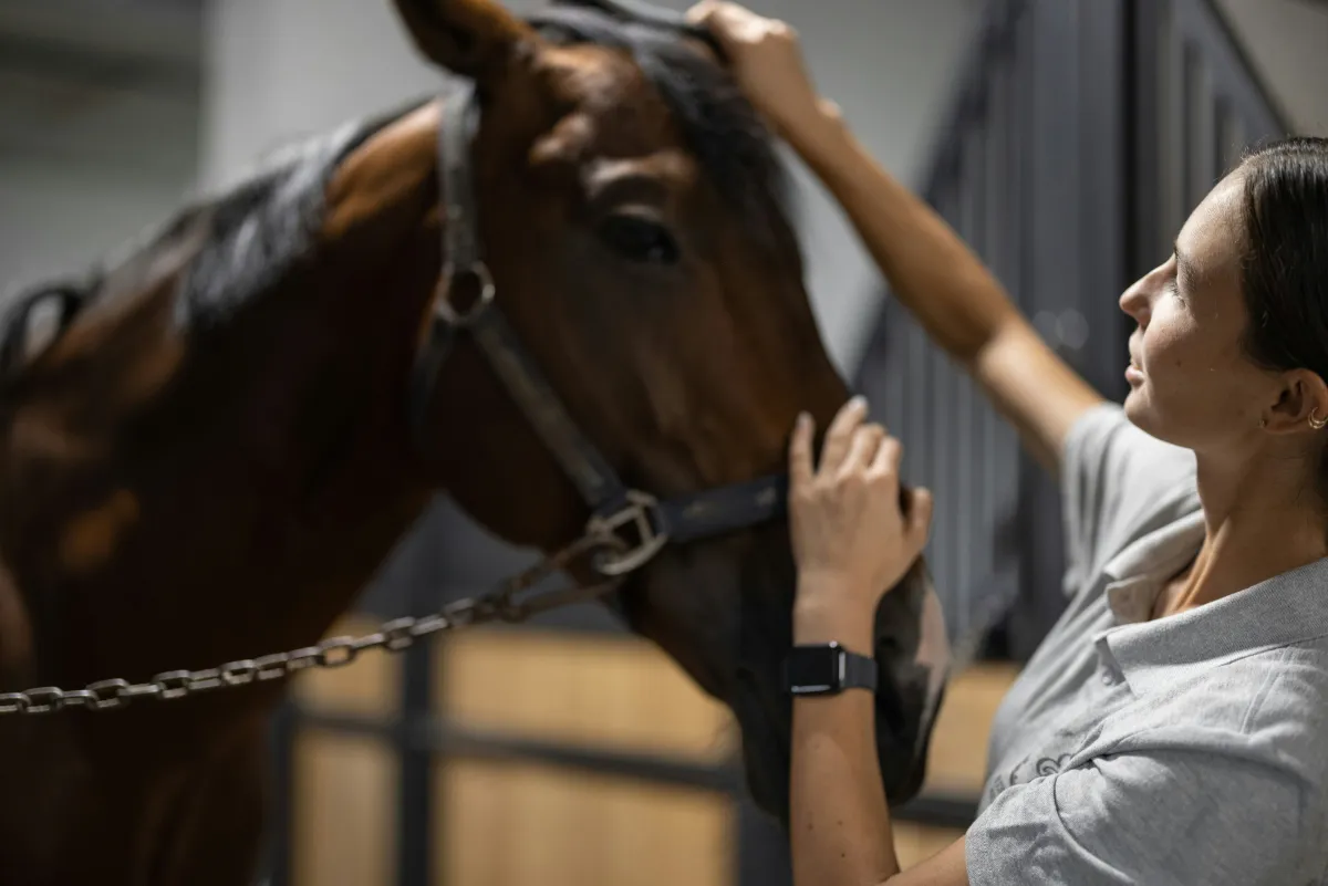 Agent Harness: What Actually Determines Whether AI Delivers or Disappoints